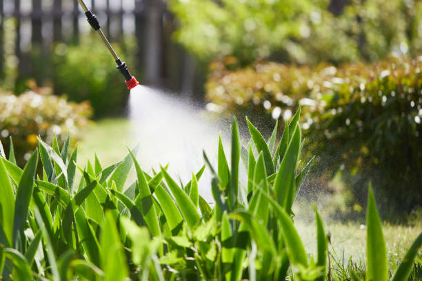 24/7 Emergency Mosquito Control experts in Guntersville, AL