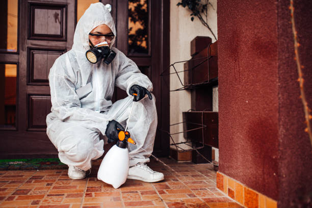 Reliable Mosquito Control contractor in Guntersville, AL by Show Me Pest Control